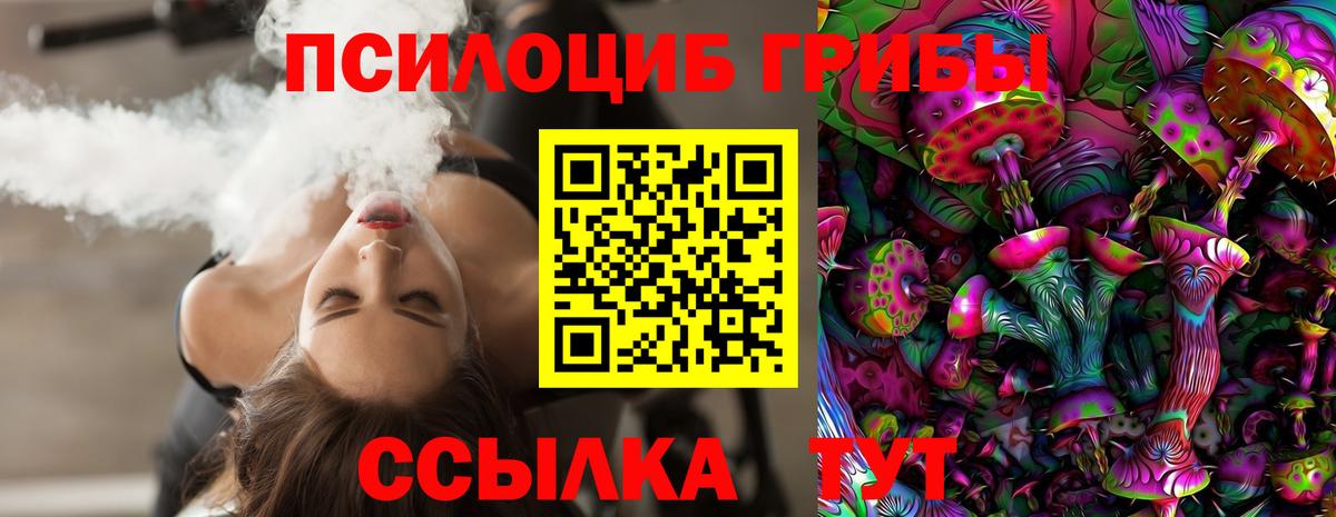 Тихорецк  Галлюциногенные грибы Psilocybine cubensis  Галлюциногенные грибы Psilocybine cubensis  Вход с VPN 